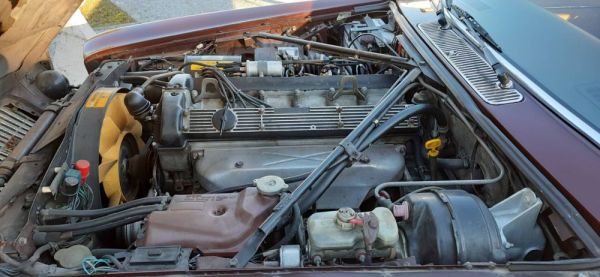 Jaguar XJ 6 4.2 1982 117514