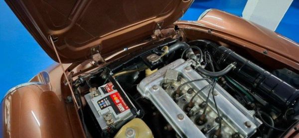 Alfa Romeo Spider Veloce 2000 1981 116460