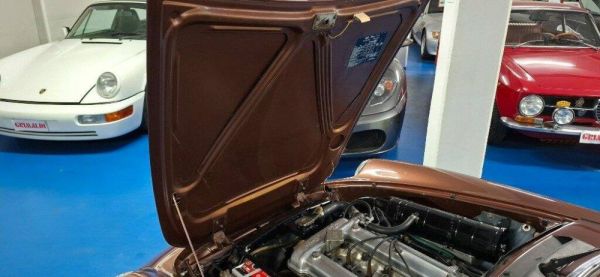 Alfa Romeo Spider Veloce 2000 1981 116461