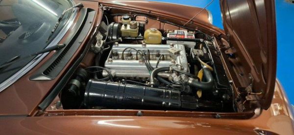 Alfa Romeo Spider Veloce 2000 1981 116462