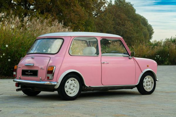 Rover Mini Cooper 1,3i 1994 64042