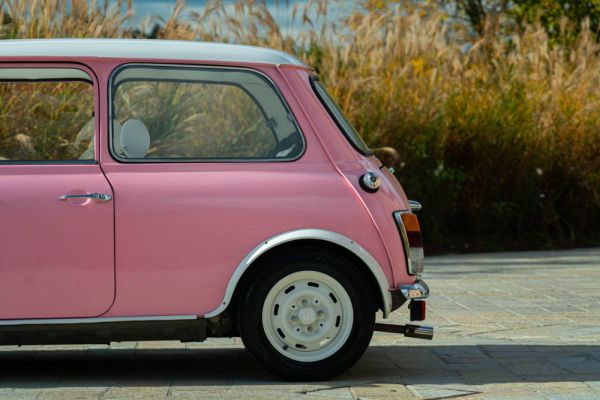 Rover Mini Cooper 1,3i 1994 64049