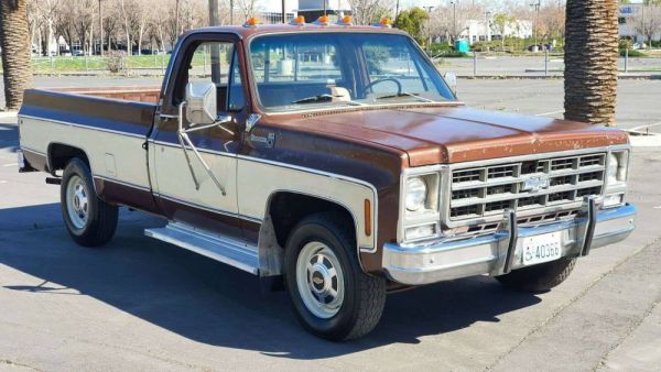 Chevrolet C 20 1979 90696