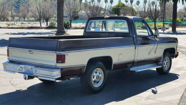 Chevrolet C 20 1979 90698