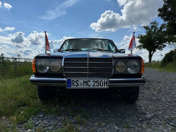 Mercedes-Benz 250 lang 1980 83601