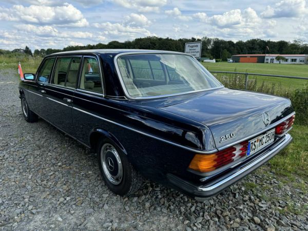 Mercedes-Benz 250 lang 1980 83602