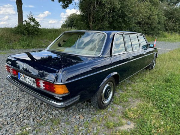 Mercedes-Benz 250 lang 1980 83603