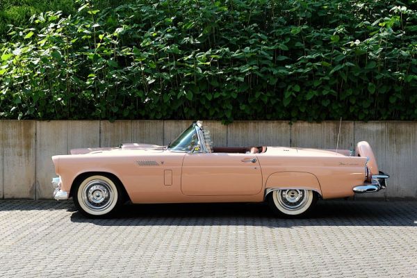 Ford Thunderbird 1956 122889