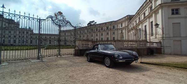 Alfa Romeo Spider Veloce 2000 1971 115831