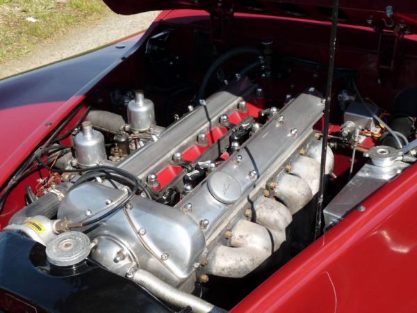 Jaguar XK 120 FHC 1952 31109
