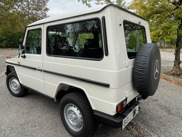 Mercedes-Benz 200 GE (SWB) 1989 132219