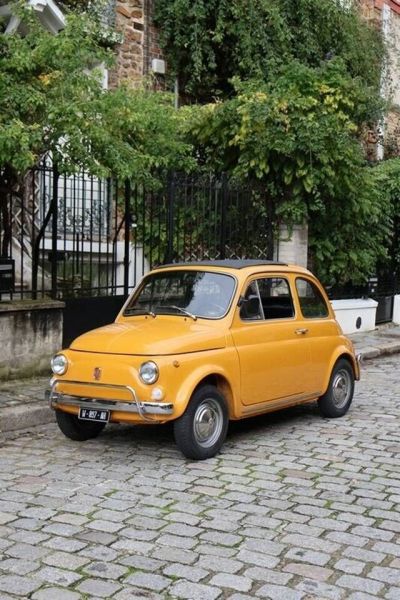 Fiat 500 L 1970