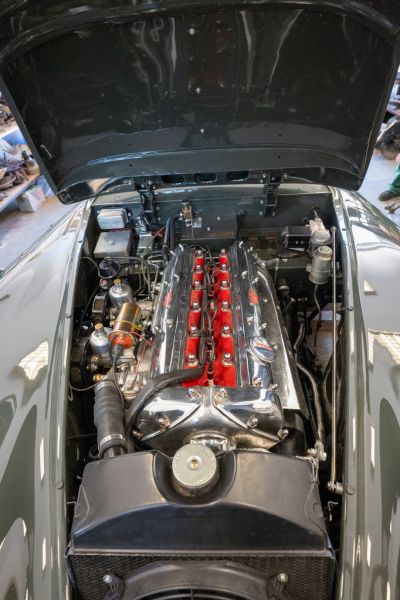 Jaguar XK140 SE Roadster open two-seater 1955 132715