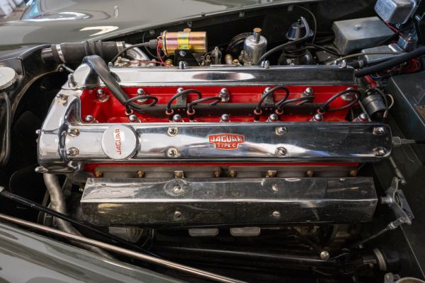 Jaguar XK140 SE Roadster open two-seater 1955 132716