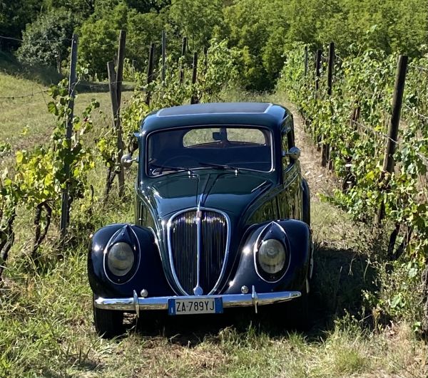 Fiat 1500 1938 132898