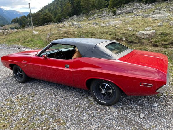 Dodge Challenger 318 1970 134423