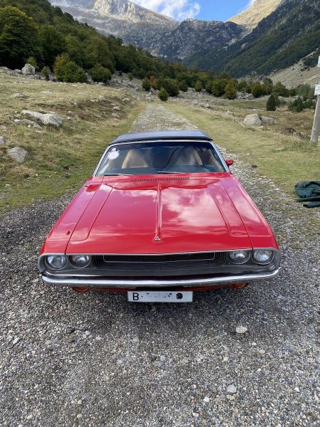 Dodge Challenger 318 1970 134424
