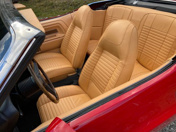 Dodge Challenger 318 1970 134428