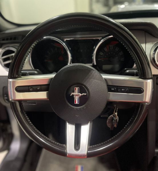 Ford Mustang 2007 134488