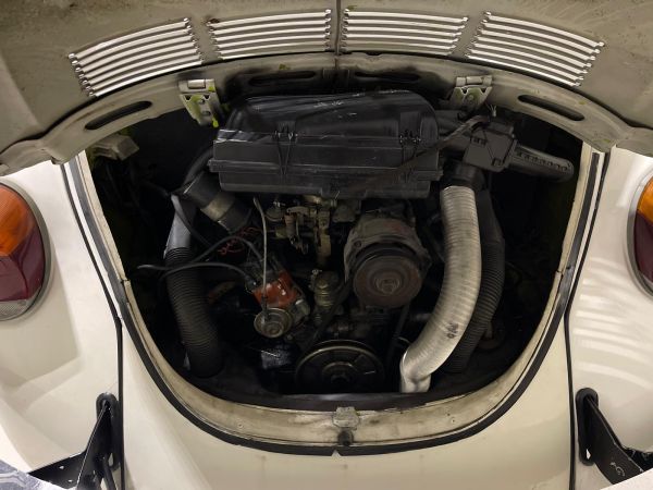 Volkswagen Maggiolone 12/13 Cabrio 1973 134687