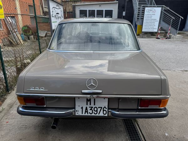 Mercedes-Benz 250 1986 135066