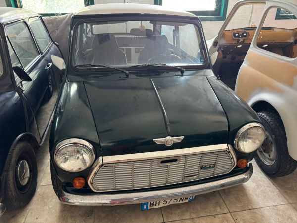 Mini Austin 1991
