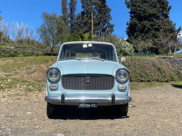 Fiat 1100 D 1964 134859