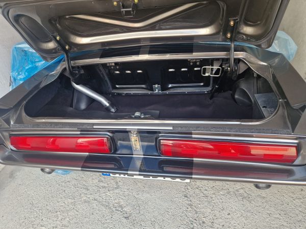 Ford Shelby Mustang GT 500 1968 134924