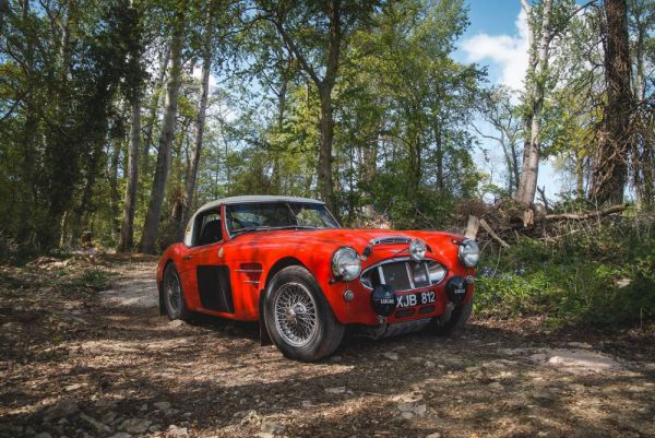 Austin-Healey 3000 Mk I (BT7) 1960 29771