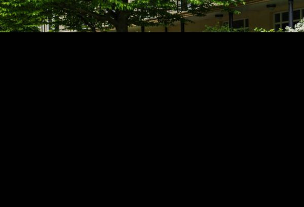 Rover Mini 1.3i 1995