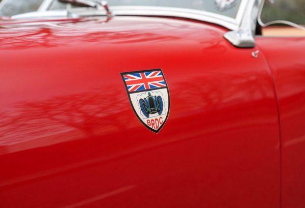 Allard K3 1954 124223