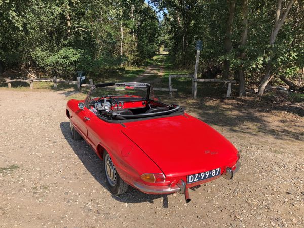 Alfa Romeo 1600 Spider Duetto 1966 135970