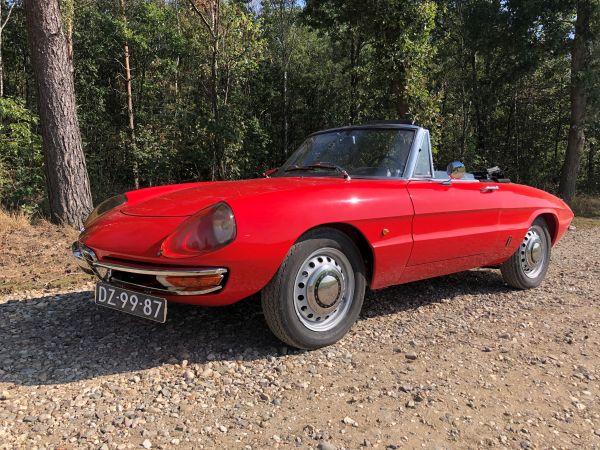 Alfa Romeo 1600 Spider Duetto 1966 135971