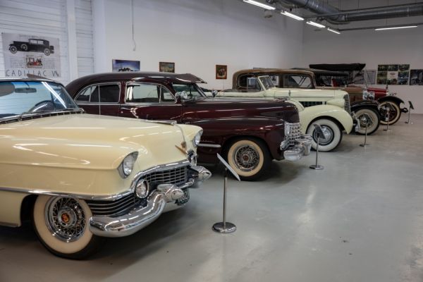 Cadillac Eldorado Corvertibile 1954 136010