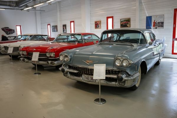 Cadillac Eldorado Corvertibile 1954 136015