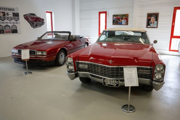 Cadillac Eldorado Corvertibile 1954 136016